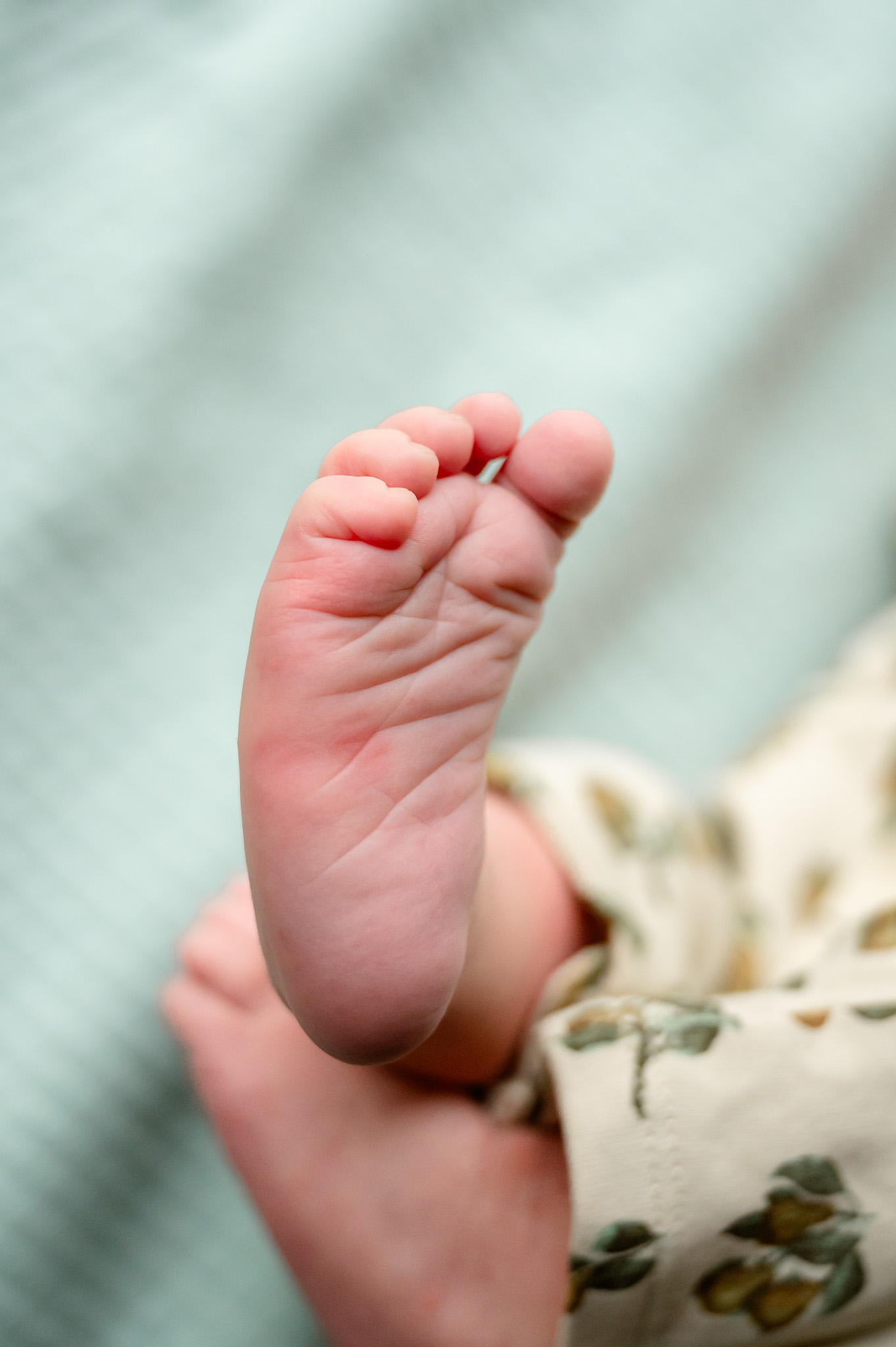 Close-up van babyvoetje tijdens een newborn lifestyle shoot te Zwevegem